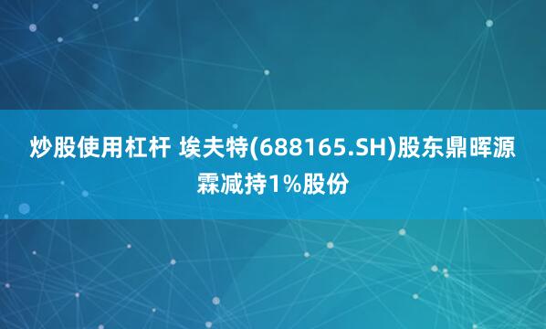 炒股使用杠杆 埃夫特(688165.SH)股东鼎晖源霖减持1%股份
