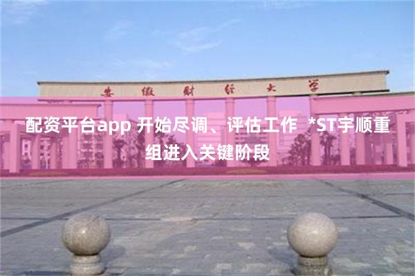 配资平台app 开始尽调、评估工作  *ST宇顺重组进入关键阶段