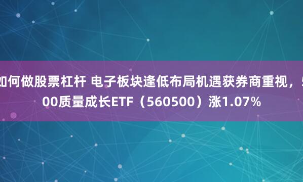 如何做股票杠杆 电子板块逢低布局机遇获券商重视，500质量成长ETF（560500）涨1.07%