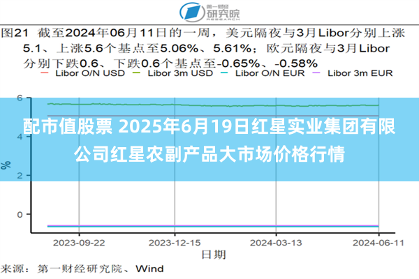 配市值股票 2025年6月19日红星实业集团有限公司红星农副产品大市场价格行情