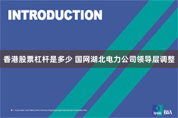 香港股票杠杆是多少 国网湖北电力公司领导层调整