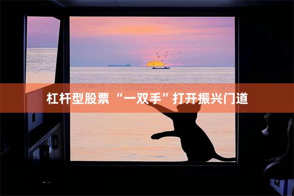 杠杆型股票 “一双手”打开振兴门道