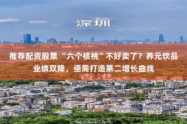 推荐配资股票 “六个核桃”不好卖了？养元饮品业绩双降，亟需打造第二增长曲线
