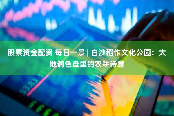 股票资金配资 每日一景 | 白沙稻作文化公园：大地调色盘里的农耕诗意