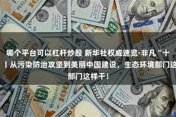 哪个平台可以杠杆炒股 新华社权威速览·非凡“十四五”丨从污染防治攻坚到美丽中国建设,生态环境部门这样干!